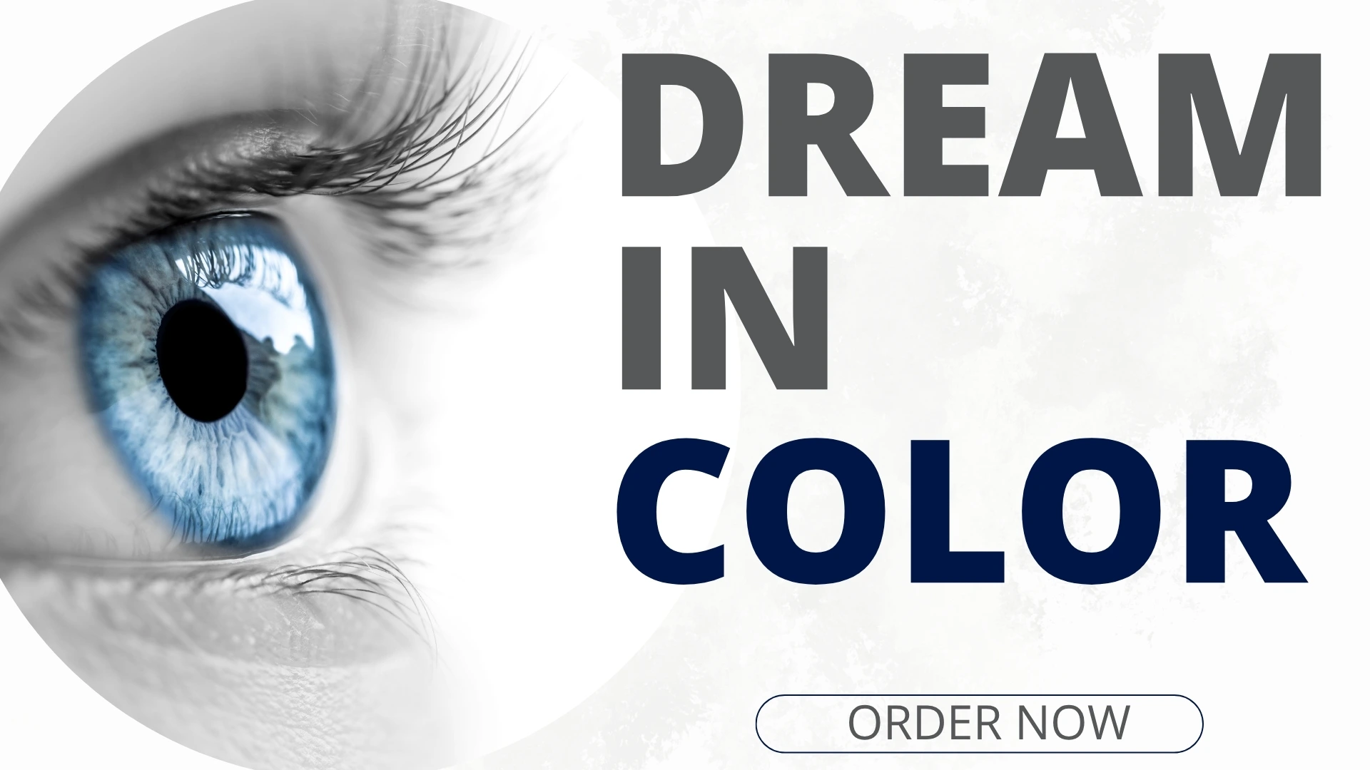 Optica Banner 2 Dream In Color Desktop